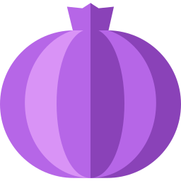 Onion icon