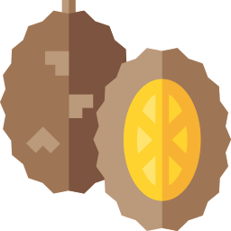 durian icon