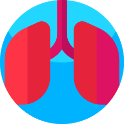 Lungs icon