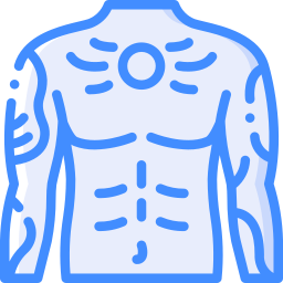 torso icoon