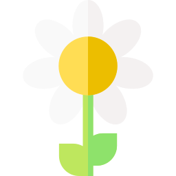 gänseblümchen icon