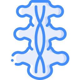척수 icon