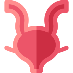 Bladder icon