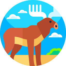 Reindeer icon