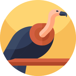 Vulture icon