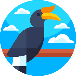 Hornbill icon