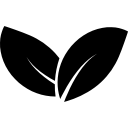 Two leaves icon