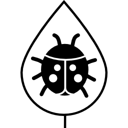 insetto sulla foglia icona