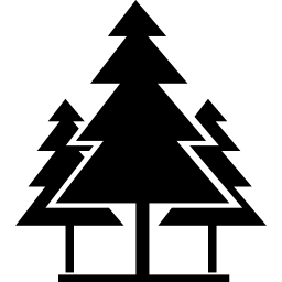 Christmas trees icon