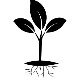 planta y raíz icono