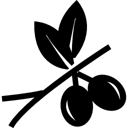 Olives on a branch icon