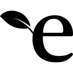 에코 e icon
