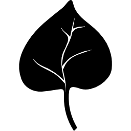blatt einer pflanze icon