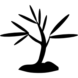 albero in crescita icona