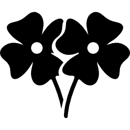 dos flores icono