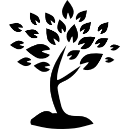 drzewo z wieloma liśćmi ikona