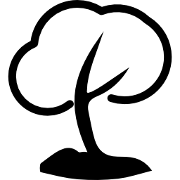 白い葉を持つ木 icon