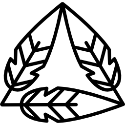il contorno delle piume forma una forma triangolare icona