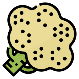 coliflor icono