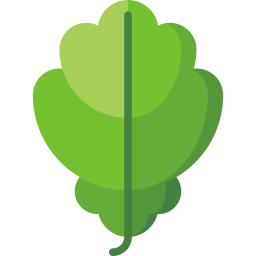 Leaf icon