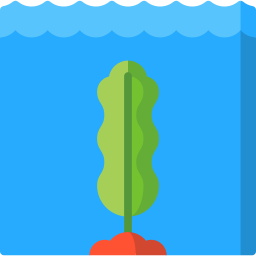 Морские водоросли иконка