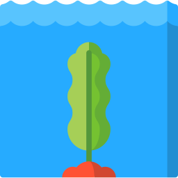 Seaweed icon