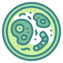 Bacteria icon