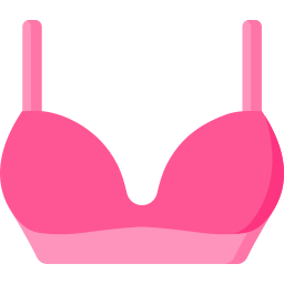 Bra icon