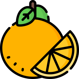 Orange icon