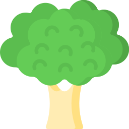 Broccoli icon