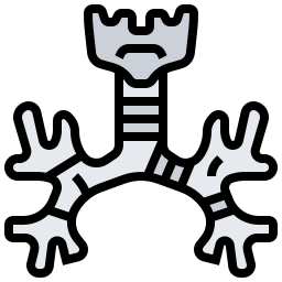 기관지 icon