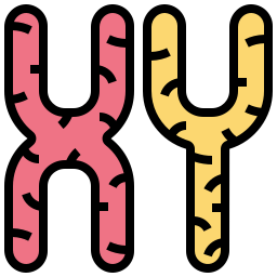 Chromosome icon