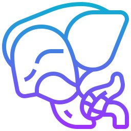 肝臓器官 icon