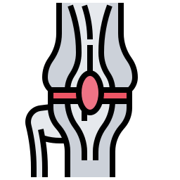 articulación de la rodilla icono