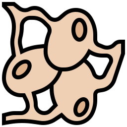 Lymph nodes icon