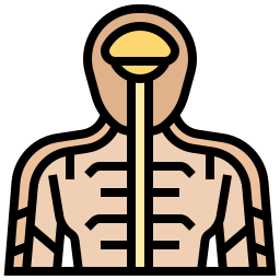 Human body icon