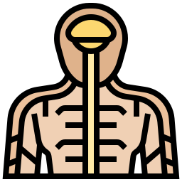 Тело человека иконка