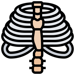 thorax Icône