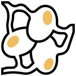 lymphknoten icon
