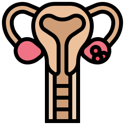 Uterus icon