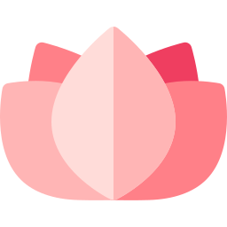 ハスの花 icon