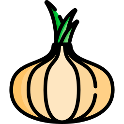 Onion icon