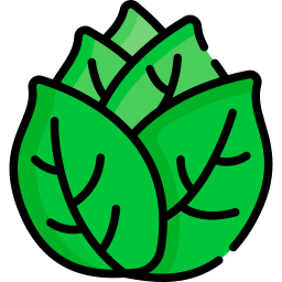 Cabbage icon