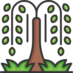salice icona
