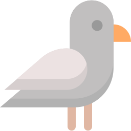 Pigeon icon