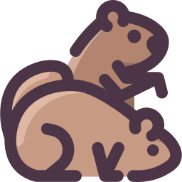 Groundhog icon