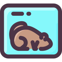 Groundhog icon