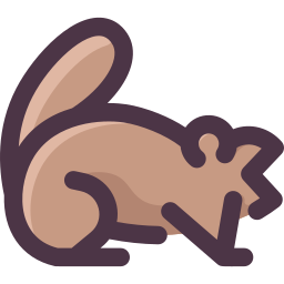 marmota icono