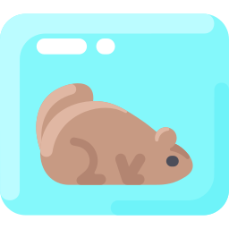 marmota icono