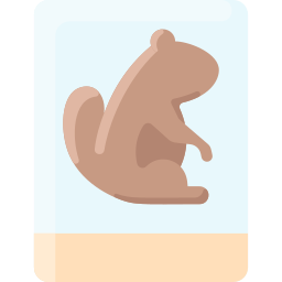 groundhog Ícone